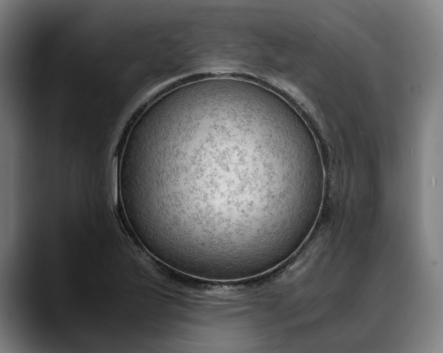 X0000089691175200707121331