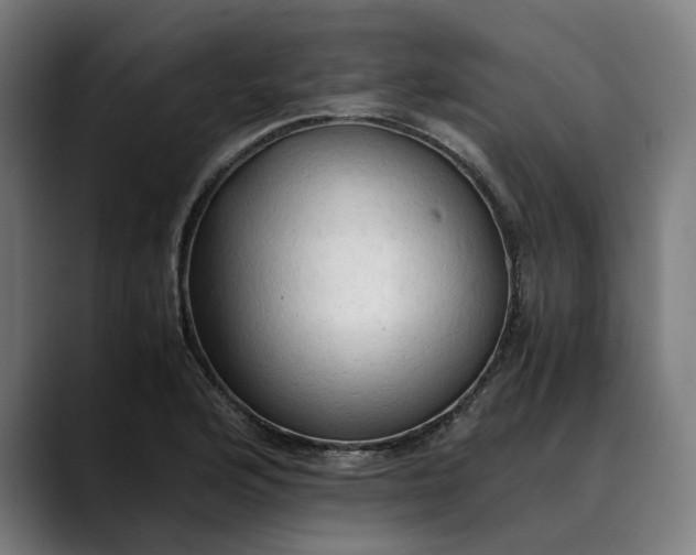 X0000089691176200707121331