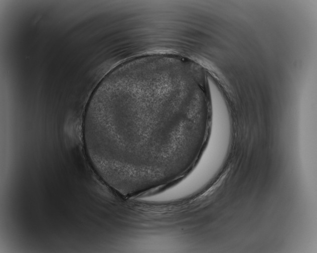 X0000089691177200707121331