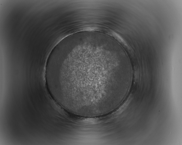 X0000089691178200707121331