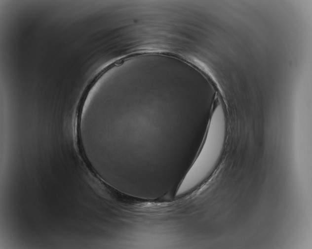 X0000089691179200707121331