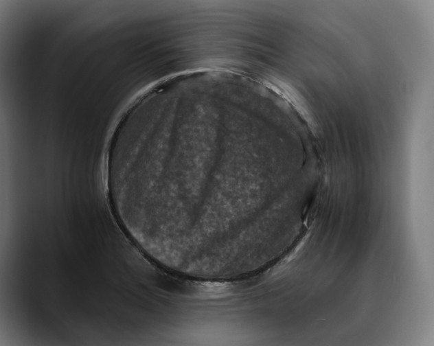 X0000089691180200707121331