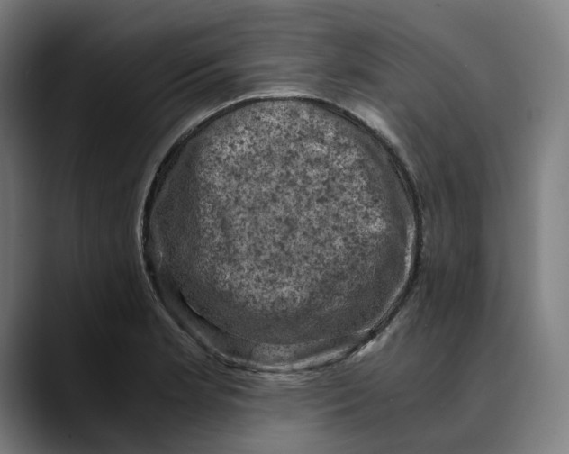 X0000089691181200707121331