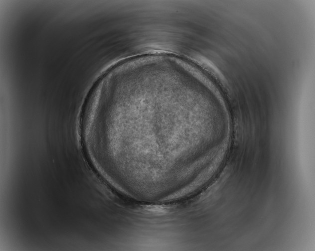 X0000089691182200707121331