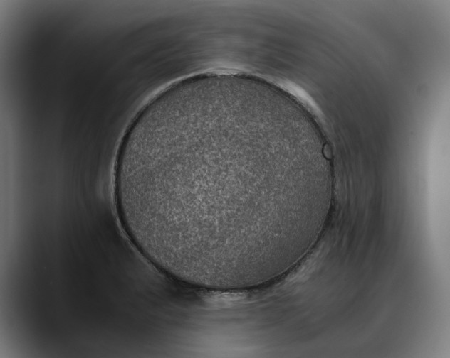 X0000089691183200707121331