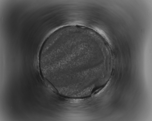 X0000089691184200707121331