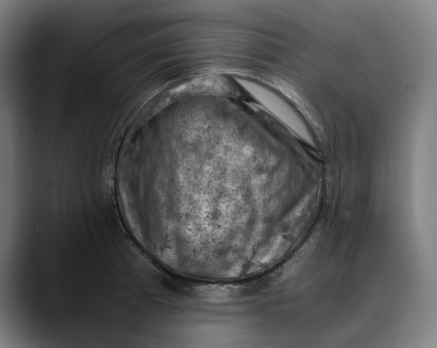 X0000089691185200707121331