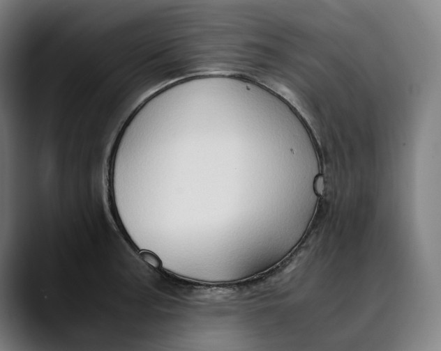 X0000089691187200707121330