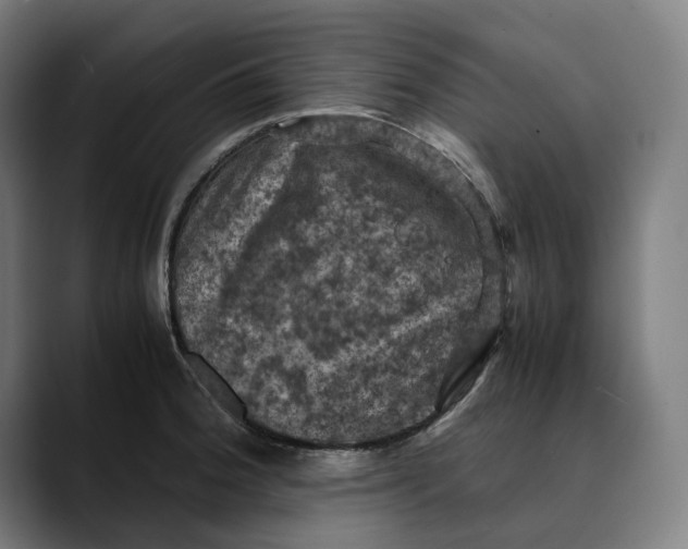 X0000089691188200707121330