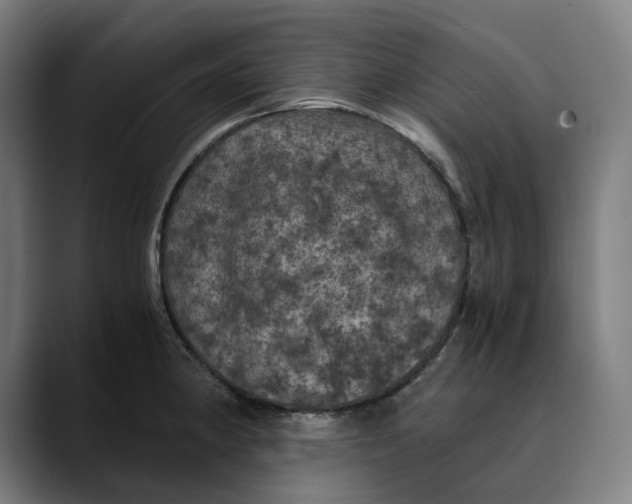 X0000089691190200707121330