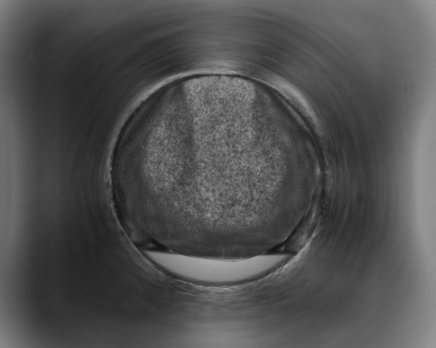 X0000089691192200707121330