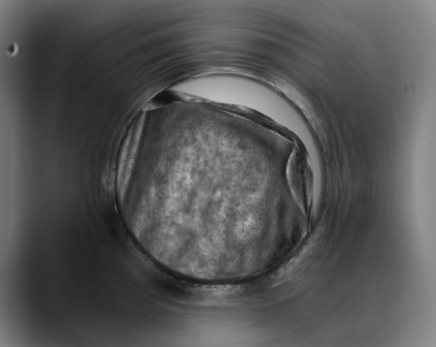 X0000089691193200707121330