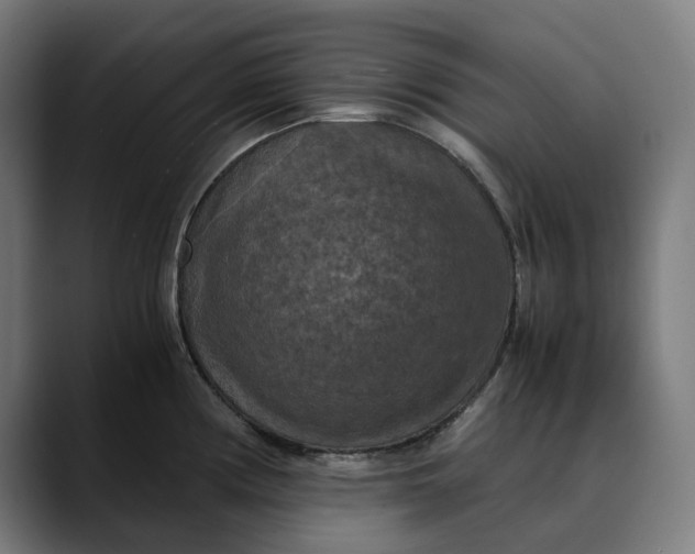 X0000089691194200707121330