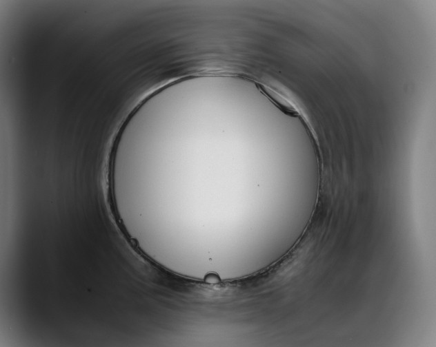 X0000089691195200707121330