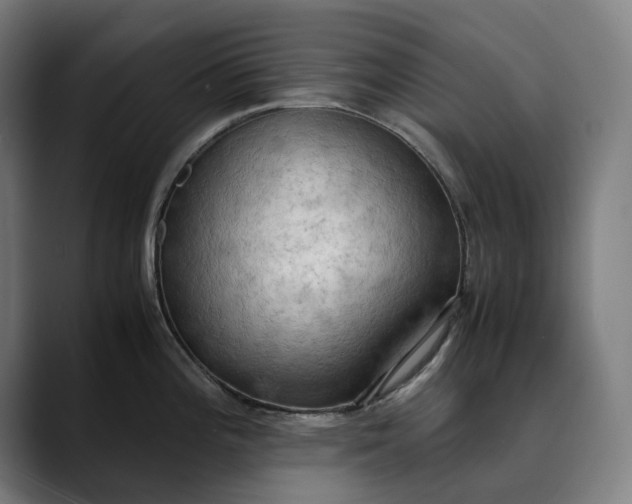 X0000089691196200707121330