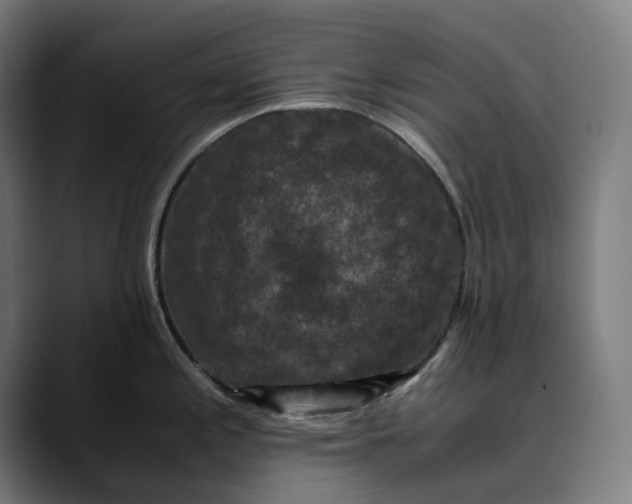 X0000089691197200707121330