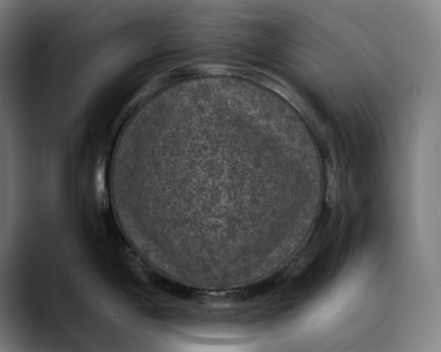 X0000089691198200707121330