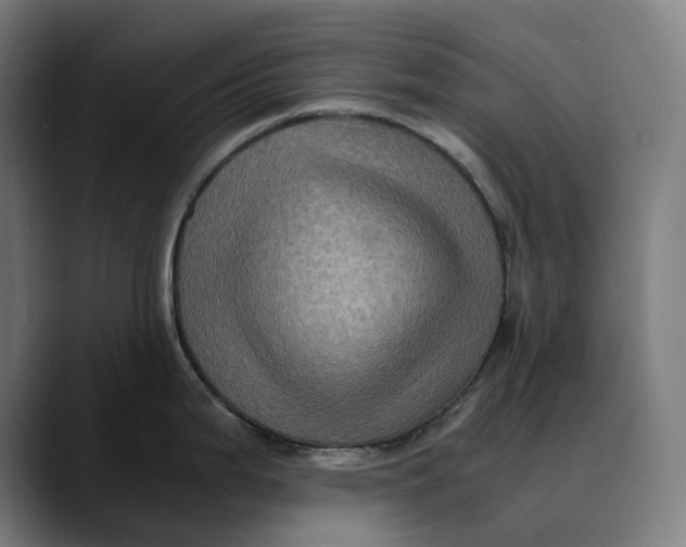 X0000089691199200707121330