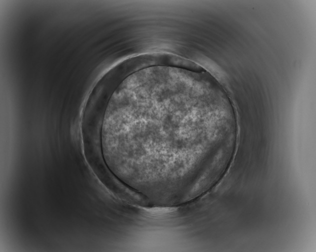 X0000089691200200707121330