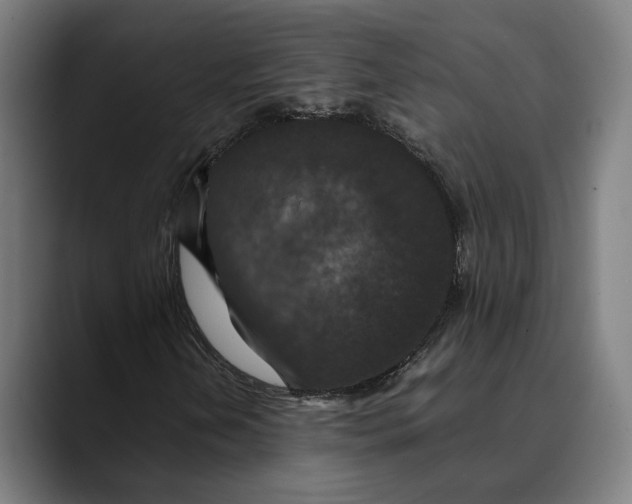 X0000089691202200707121330