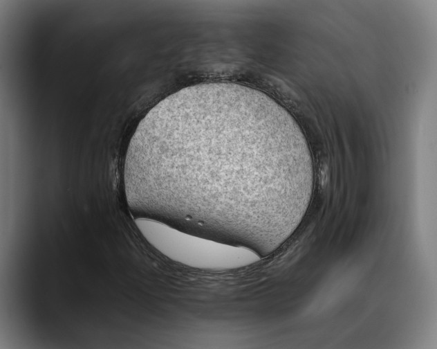 X0000089691204200707121330