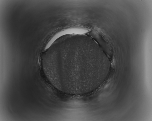 X0000089691206200707121330