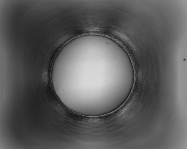 X0000089691209200707121330