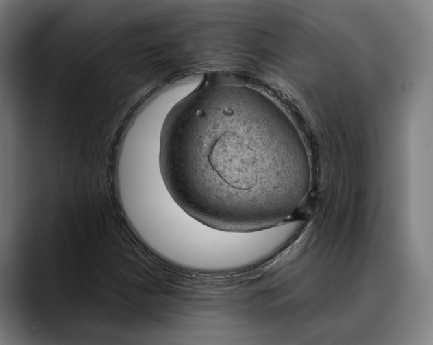 X0000089691210200707121330