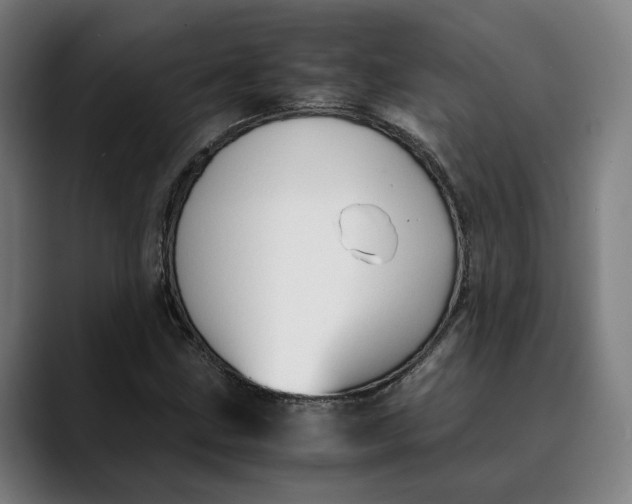 X0000089691211200707121330