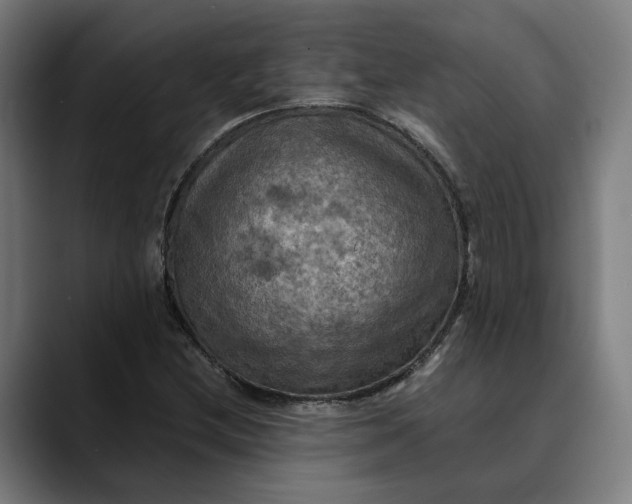 X0000089691212200707121330