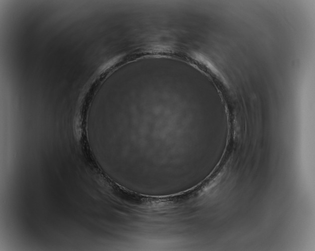 X0000089691213200707121330