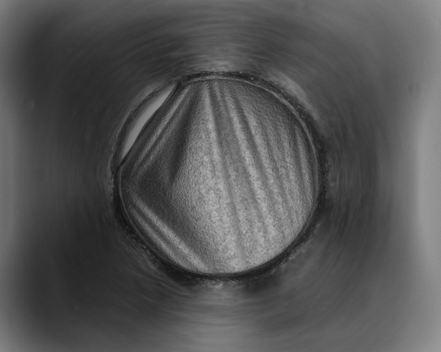 X0000089691218200707121330