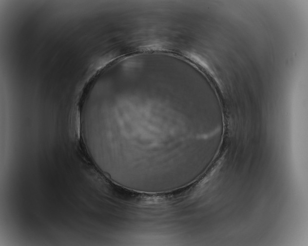 X0000089691219200707121330