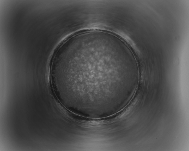 X0000089691224200707121330