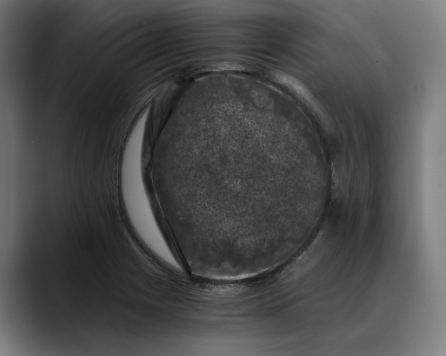 X0000089691225200707121330