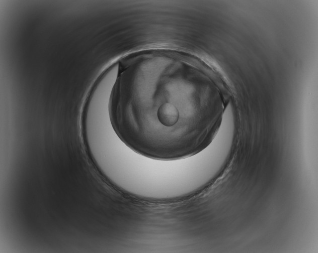 X0000089691230200707121330