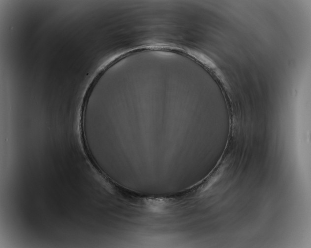 X0000089691231200707121330