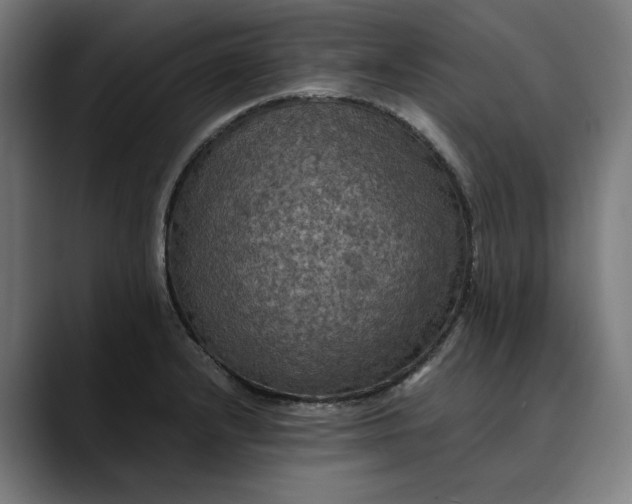 X0000089691232200707121330