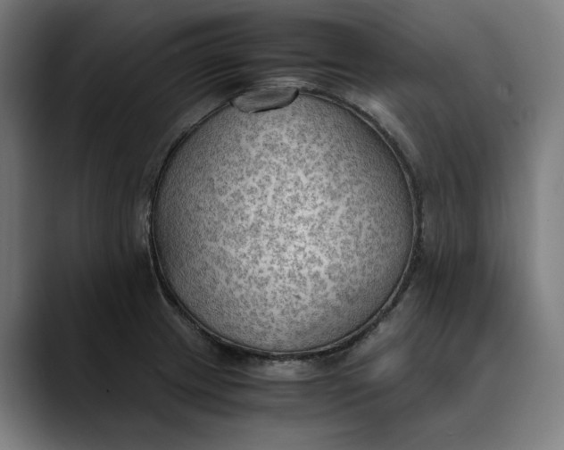 X0000089691233200707121330