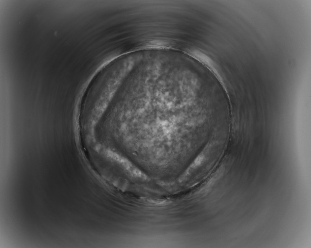 X0000089691235200707121330