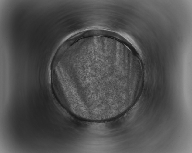 X0000089691238200707121330