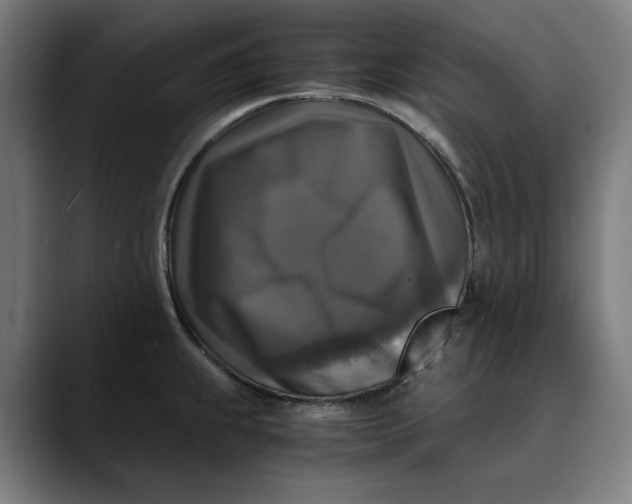 X0000089691239200707121330