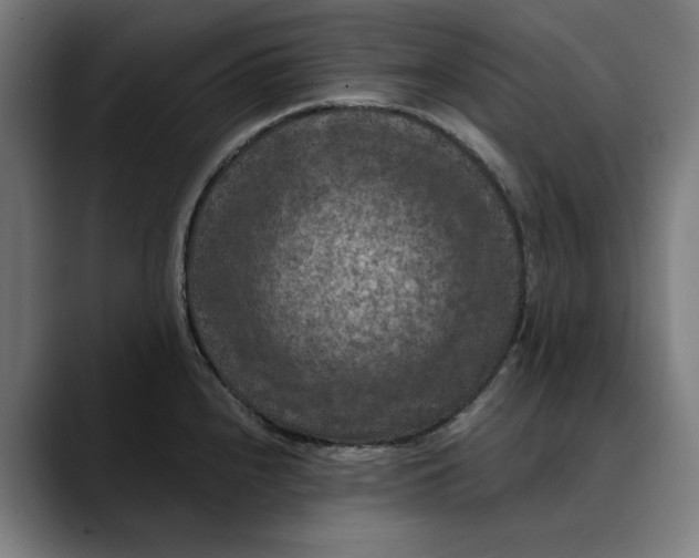 X0000089691240200707121330