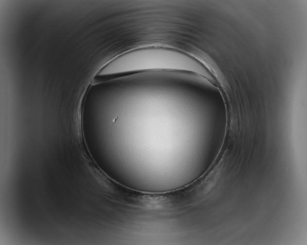 X0000089691242200707121330