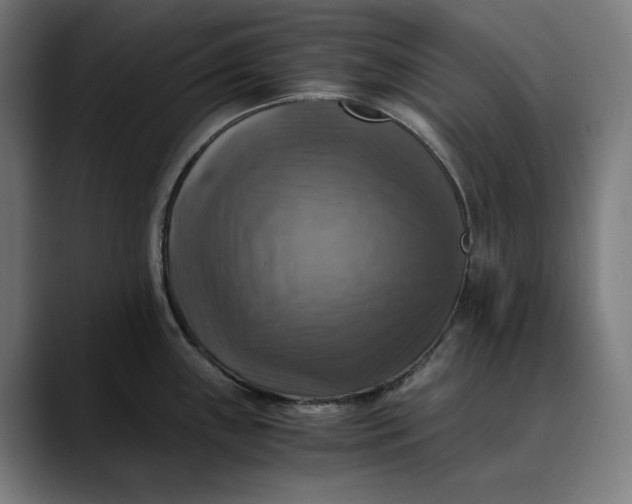 X0000089691243200707121330