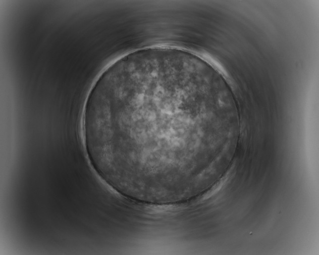 X0000089691247200707121330