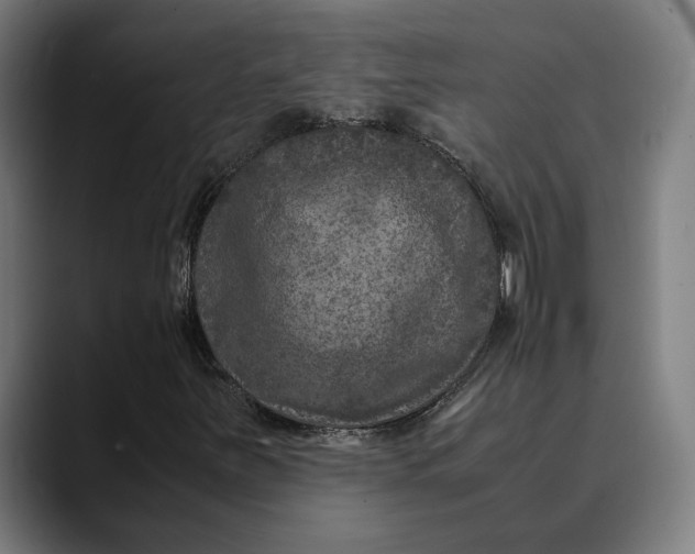 X0000089691251200707121330