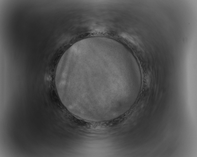 X0000089691254200707121330