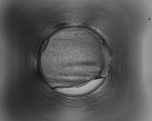 X0000089691257200707121330