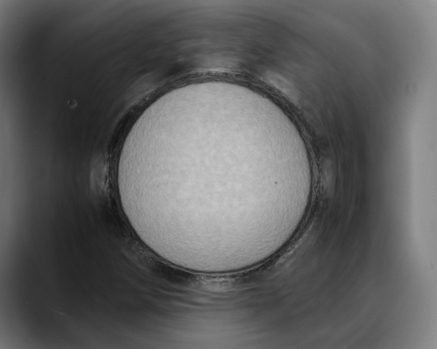 X0000089691258200707121330